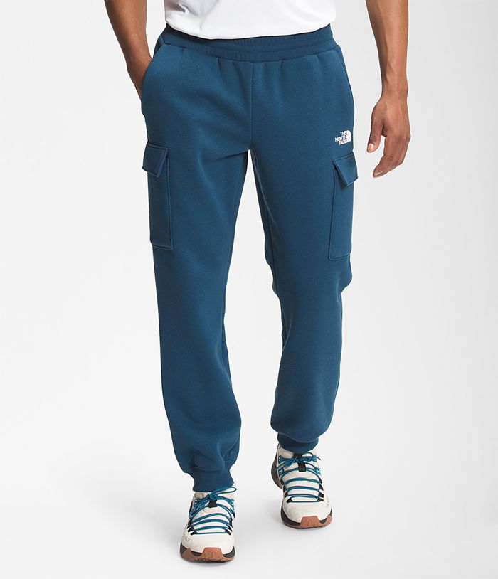 The North Face Mens Pants Coordinates 173SJVYUK - Blue